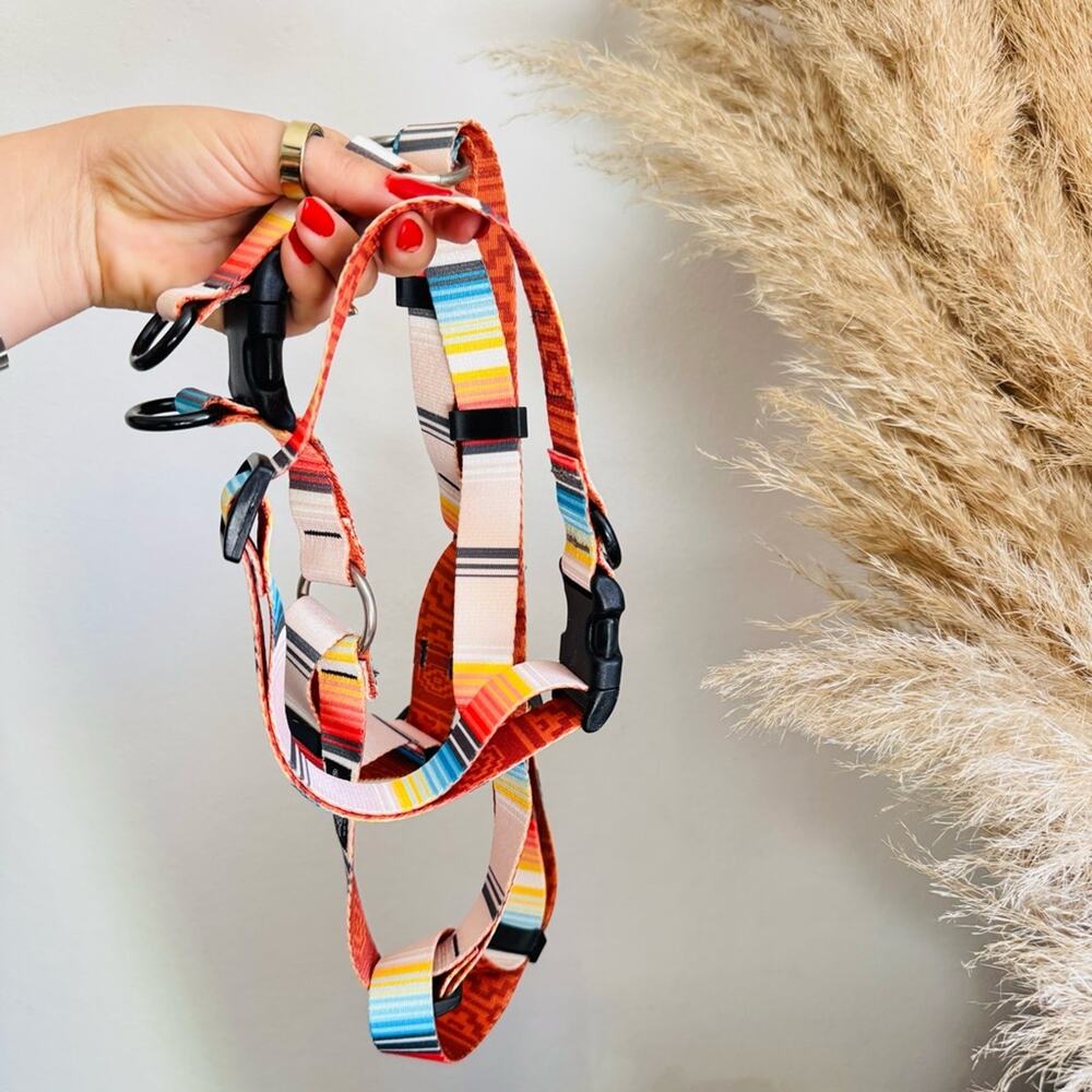 NEW LEEDS Califia Cream Orange Stripe Buckle Dog Collar Step In Harness $85 Set - Picture 4 of 13